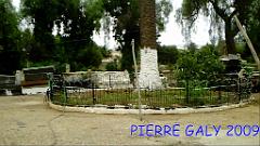 ORAN CIMETIERE JUIF (19) 2009